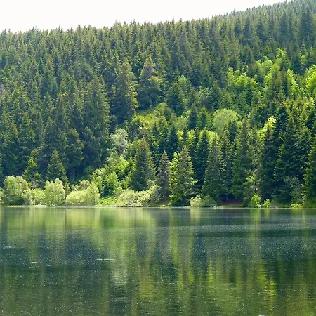 Aux 500 Diables Eco -