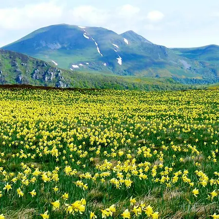 Aux 500 Diables Eco - 2* Chambon-sur-Lac