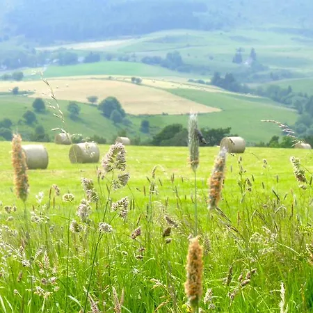 Aux 500 Diables Eco - Hotel Chambon-sur-Lac