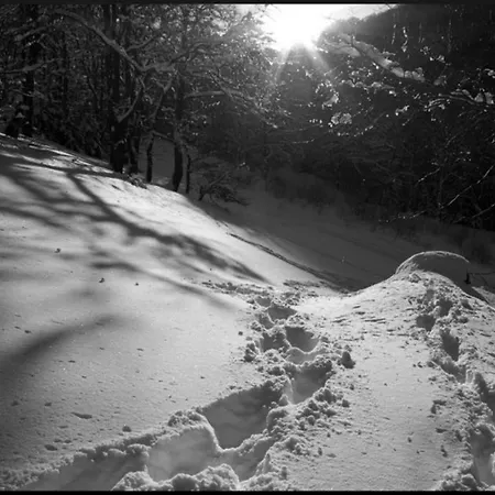 Aux 500 Diables Eco - 호텔