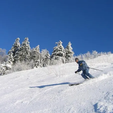 Aux 500 Diables Eco - Hotel Chambon-sur-Lac